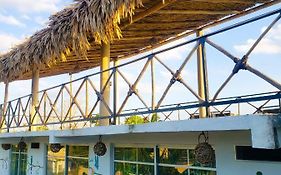La Casa De Las Aves